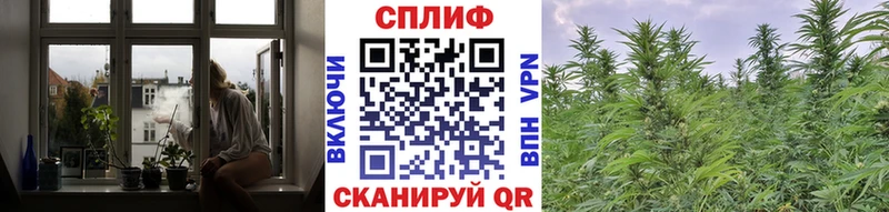 Купить наркотик Камешково АМФ СОЛЬ ГАШИШ МЕФ КОКАИН ГЕРОИН Канабис Галлюциногенные грибы