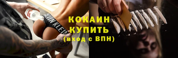 молекула духа Ахтубинск