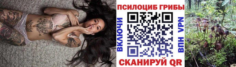 сайты даркнета клад  Камешково  Псилоцибиновые грибы ЛСД 